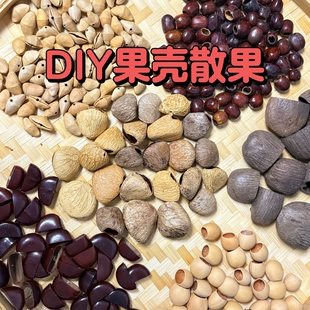 天然果壳salin果壳水铃桐果壳进口果壳DIY风铃果壳打孔植物果壳