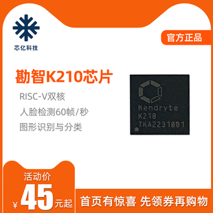 sipeed嘉楠勘智K210芯片RISC-V双核64位人脸检测图像识别智能家居