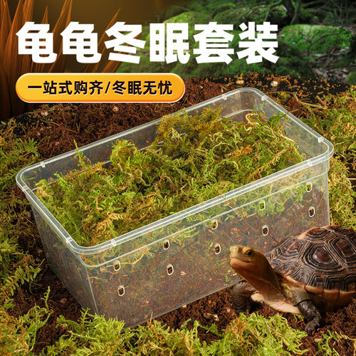 乌龟冬眠箱专用椰土爬宠饲养盒寄居蟹守宫过冬神器苔藓乌龟缸用品