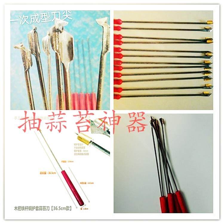 抽蒜苔神器 拔蒜苔工具蒜提子不锈钢蒜薹刀拔蒜苔割蒜薹工具包邮