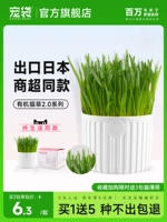 [Рекомендуется jiayu] Выйти из японской кошачьей травы