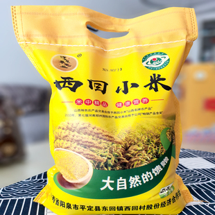 2025年新米阳泉特产平定西回小米黄小米月子米地理标志小米5斤装