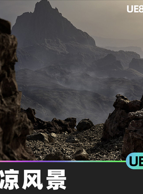 8K Desolate Landscape Pack荒凉风景5.3虚幻5.4景观UE5悬崖岩石
