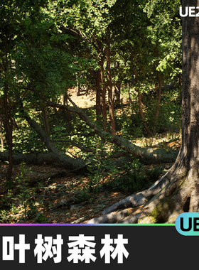 MW Broadleaf Tree Forest Biome阔叶树森林生物群落5.0虚幻UE5