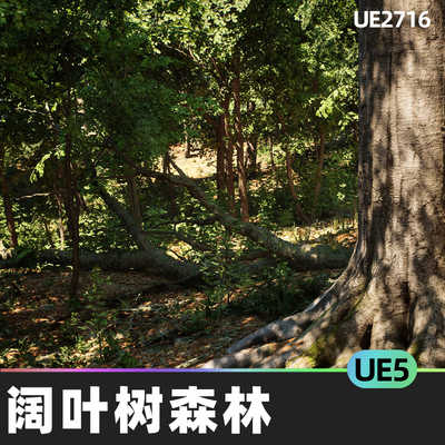 MW Broadleaf Tree Forest Biome阔叶树森林生物群落5.0虚幻UE5