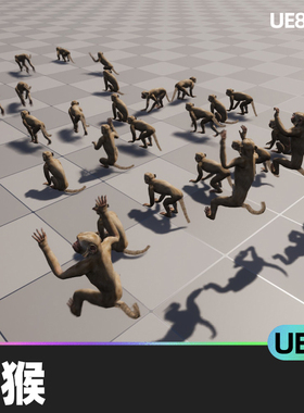 Macaque猕猴5.3虚幻UE5低聚引擎3D模型动画人物角色动画动物猴子