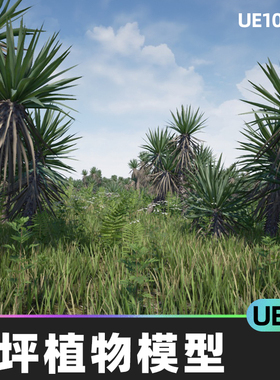 Yucca Pack (Yucca filamentosa)草坪草地地貌植物模型5.4虚幻UE5