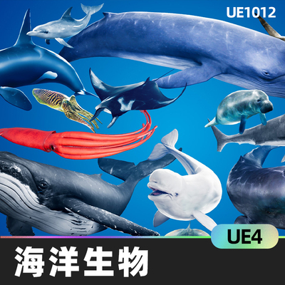 Ocean Animals MEGA Pack海洋动物加速减速移动动画UE4角色模型