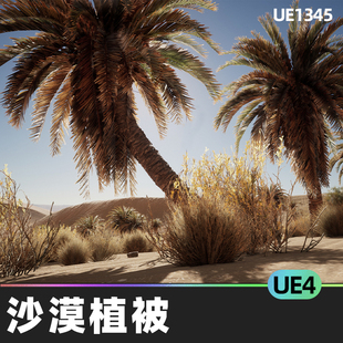 Desert Vegetation沙漠植被道具植物灌木丛棕榈树风动画UE4虚幻5