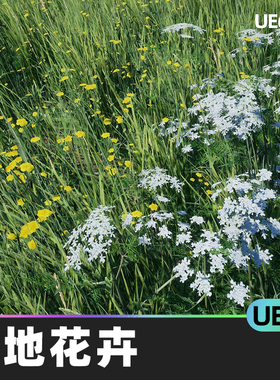 temperate Vegetation Meadow Flowers草地花卉UE4虚幻引擎道具