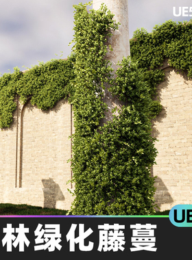 Landscaping Vines 1园林绿化藤蔓UE5虚幻引擎植物建筑可视化景观