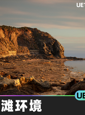 Brushify Beach Pack海滩环境无人机草地沙漠森林雪地海滩UE5游戏