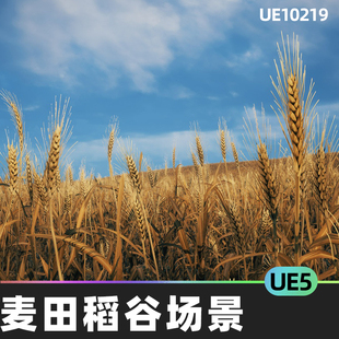 Field Wheat 小麦稻谷田野场景5.5虚幻UE5环境 Foliage Nanite