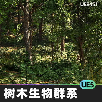 MW Broadleaf Trees Forest Biome树木生物群系5.2虚幻UE5环境