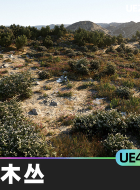 MW Shrubs and Bushes灌木丛4.27-5.2虚幻UE5环境摄影测量植物