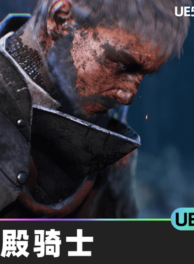 Ravens S 2 Templar Knight圣殿骑士UE4人物角色虚幻引擎角色扮演