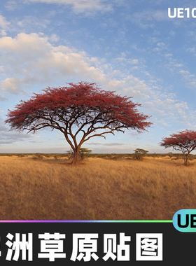 HDRI Savanna Panoramas非洲草原草地平原场景贴图4.27虚幻UE4UE5