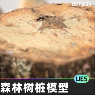 Vol. Pack Photorealistic 01树桩落叶模型5.4虚幻UE5 Scanned