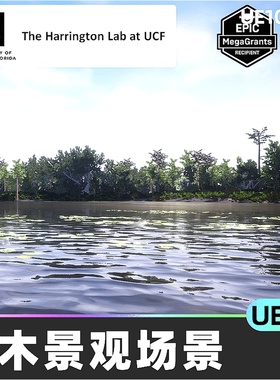 Subtropical Waterbody Habitat Brush灌木河流场景5.3虚幻UE5