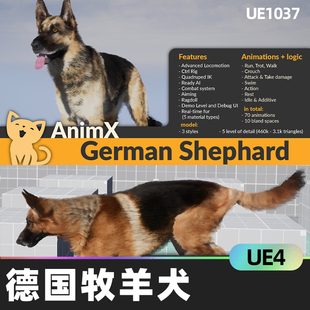 Shepherd德国牧羊犬UE4动物控制器游戏模型设计素 German Anim