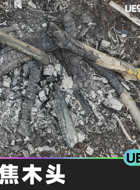 Burned wood烧焦木头UE5道具森林木头森林地面木炭自然火灾灰烬