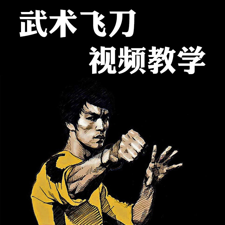 飞刀视频教程【群交流】中国武术 小李飞镖刀暗器教程/教学