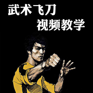 飞刀视频教程【群交流】中国武术 小李飞镖刀暗器教程/教学