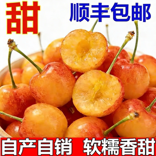 黄樱桃黄水晶黄蜜樱桃山东烟台大樱桃新鲜水果小樱桃黄车厘子 包邮