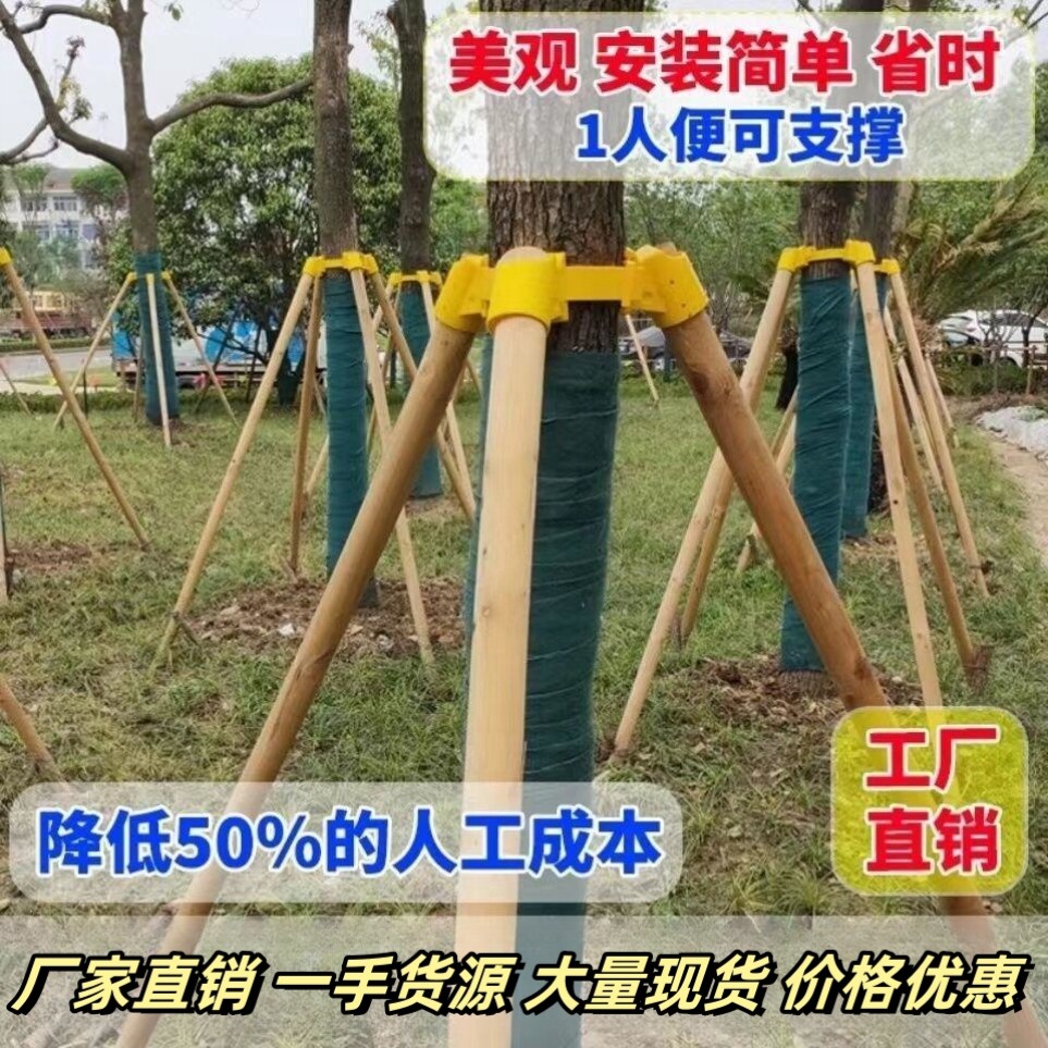 树木支撑杉木松木杨木棍园林绿化稳定支架防风工程固定器支撑架杆图片