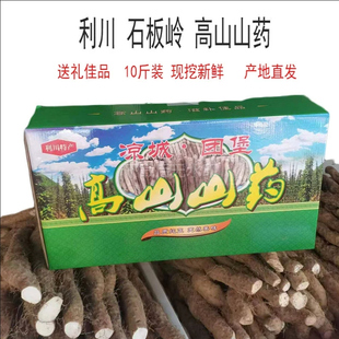 恩施利川团堡特产石板岭高山红皮米山药新鲜粉糯产地现挖礼盒10斤