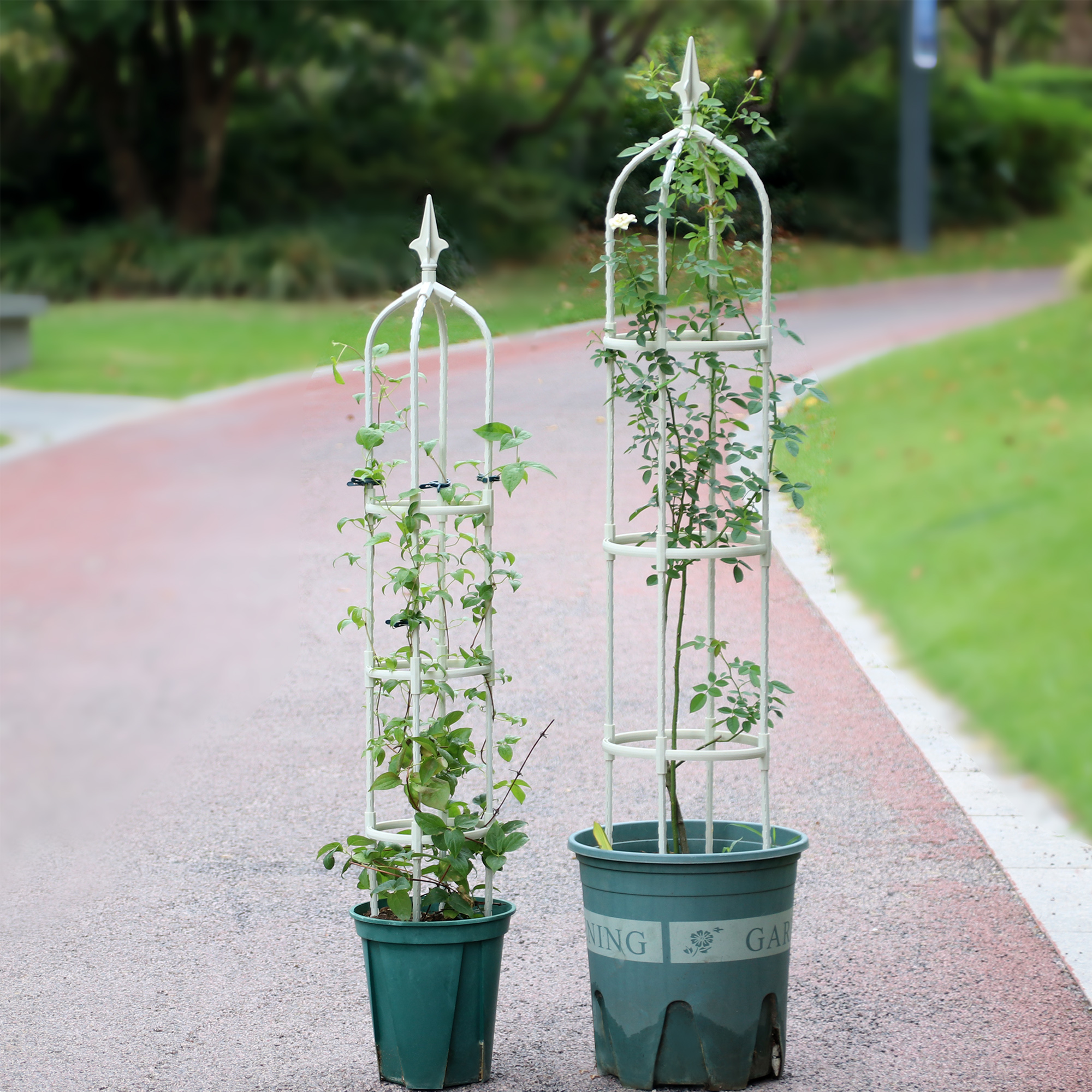 铁线莲爬藤架飘香藤爬藤支架盆栽花卉包塑钢管支撑杆月季攀爬花架