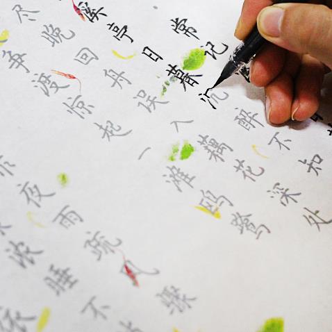 簪花小楷花草诗词李清照诗词名篇20首小楷毛笔宣纸描红字帖长卷