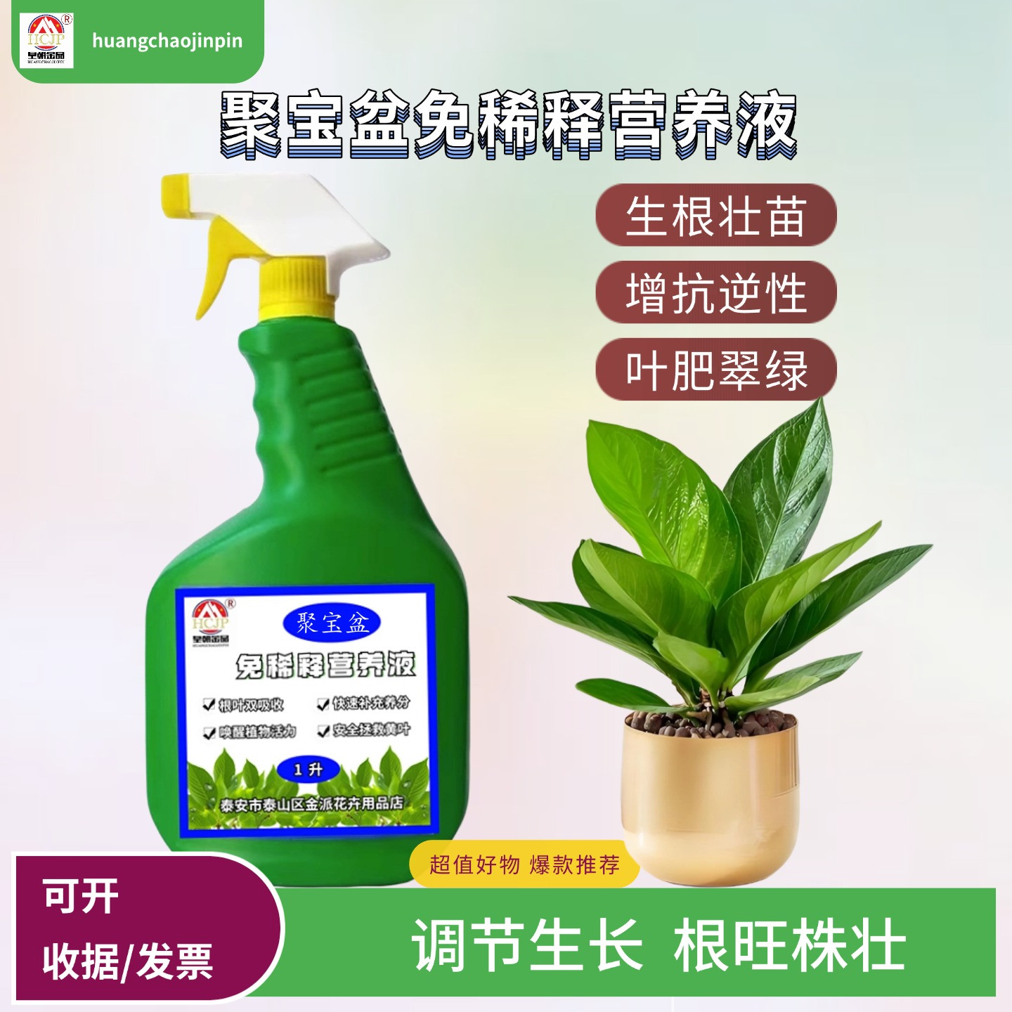 聚宝盆金叶子鸟巢花烛免稀释营养液专用室内绿植喷施叶面喷施肥料