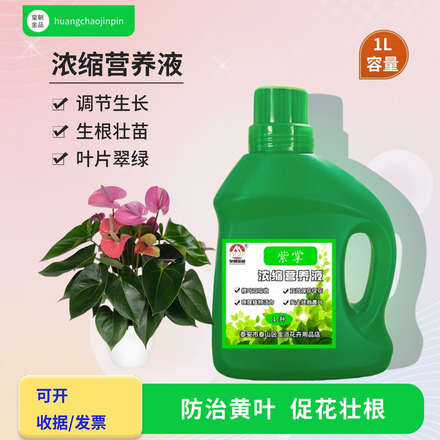 紫掌香妃盆栽浓缩营养液水溶肥料