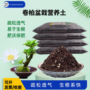 卷柏九死还魂草盆景营养土室内绿植物疏松透气育苗移栽专用种植土