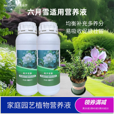 青叶金边六月雪浓缩营养液室内阳台花卉植物促花喷施专用水溶肥料