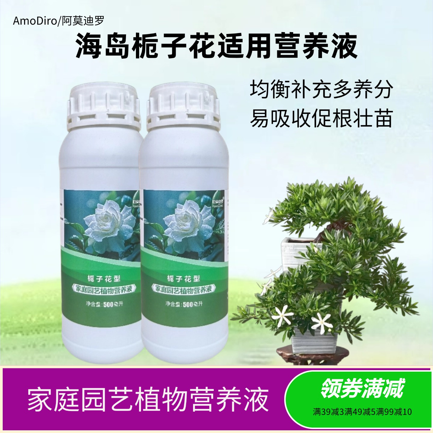 海岛栀子花盆景浓缩促花水溶肥