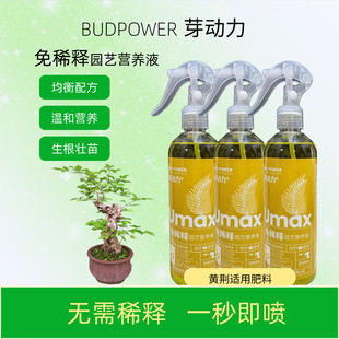 黄荆小黄荆盆景免稀释营养液办公室内绿植物氮磷钾专用喷施叶面肥