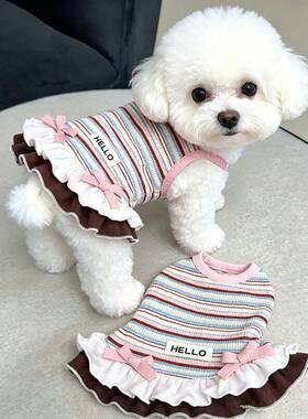 狗狗衣服春夏薄款甜美公主风彩虹条纹花边背心小型犬比熊泰迪猫咪