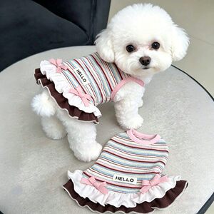 狗狗衣服春夏薄款甜美公主风彩虹条纹花边背心小型犬比熊泰迪猫咪