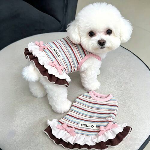 狗狗衣服春夏薄款甜美公主风彩虹条纹花边背心小型犬比熊泰迪猫咪
