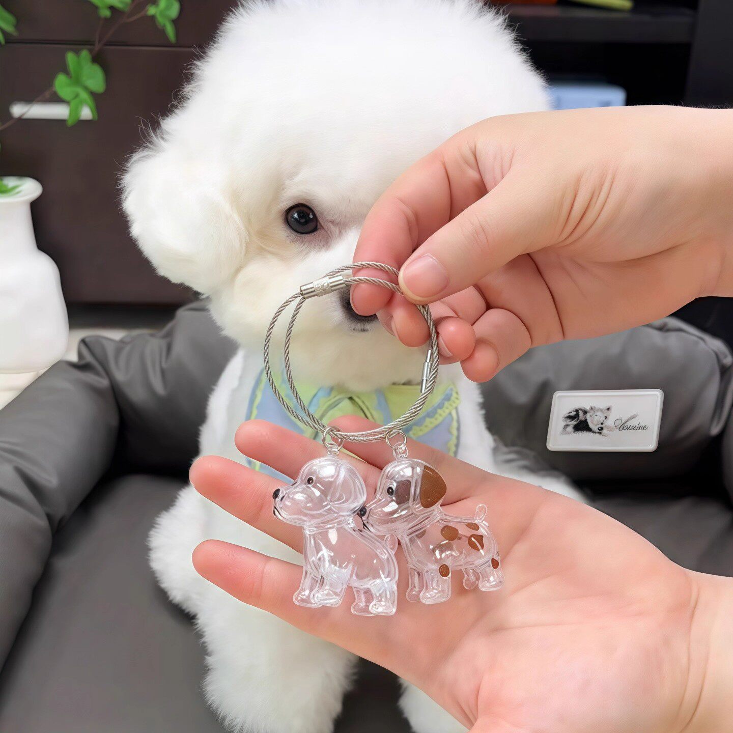 狗毛收纳挂件狗狗毛发纪念收集钥匙扣透明小狗挂饰装饰包宠物用品