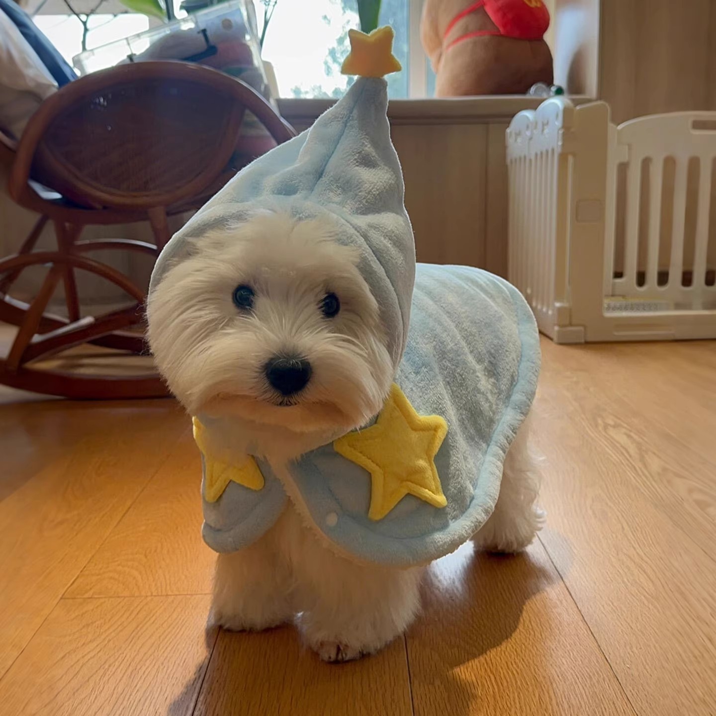 宠物狗狗衣服小型犬泰迪比熊2025新款秋冬保暖猫咪斗篷披风睡袍