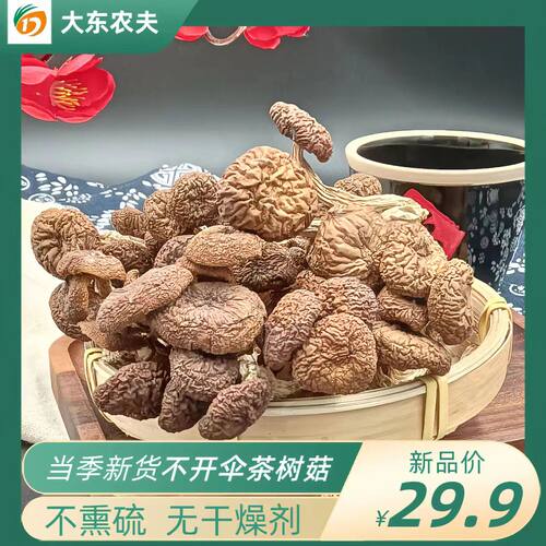 茶树菇干货特级新鲜干货不开伞
