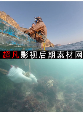 海参捕捞养殖潜水作业大连海参打捞过程视频素材动画AE模板