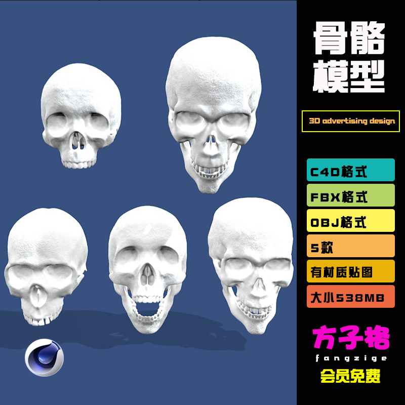 方子C4D非实物骷髅头骨3D模型FBX OBJ 格式3D素材白模无材质 R105
