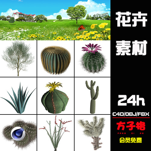 C4D素材设计西南部沙漠仙人掌多肉植物荒漠绿植三维模型场景Z008