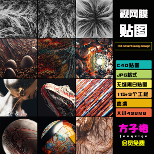 贴图渲染素材115张C4D创意抽象灰度神经纤维视网膜2K纹理JPG T053
