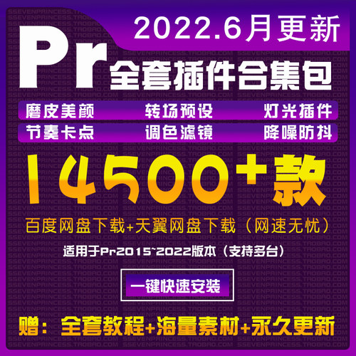 pr2022插件合集中文版短视频特效转场美颜影视后期抖音剪辑学教材