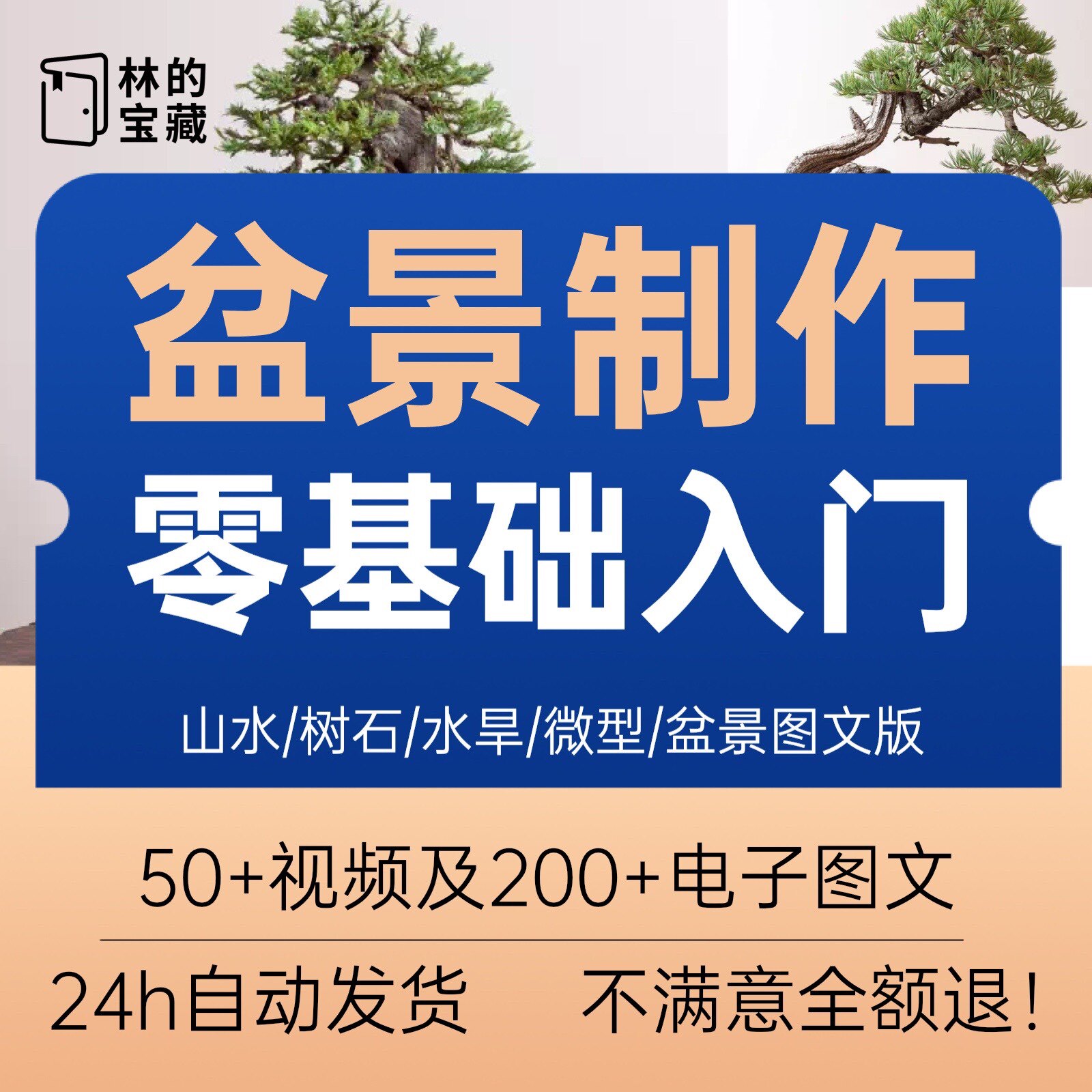 盆景入门制作技术视频教程岭南徽苏派工艺教学果树桩山水微型造型